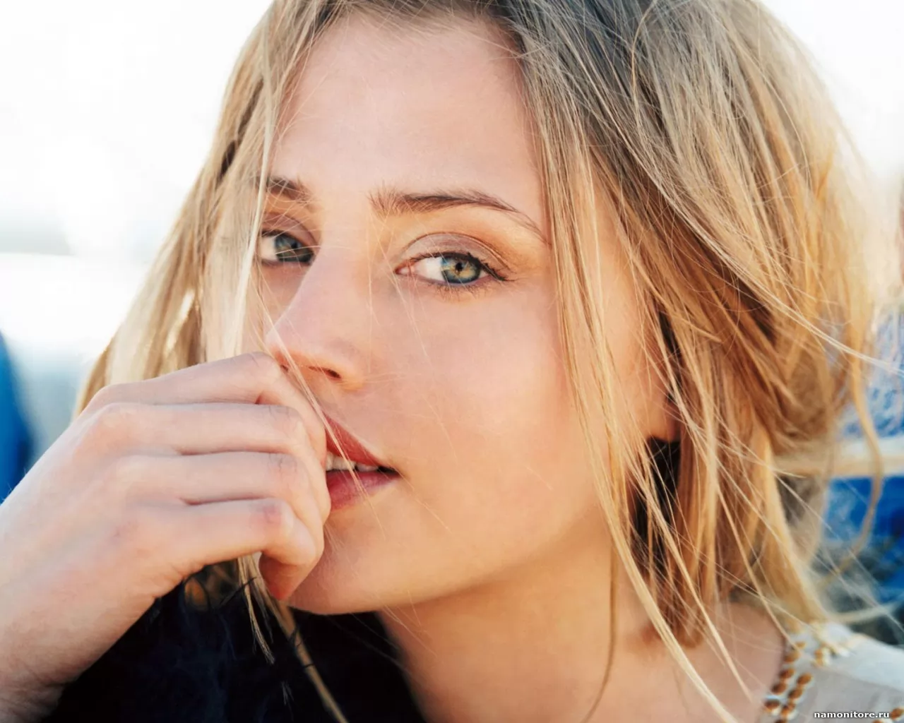 Estella Warren, ���������, �������, ������������, ������� �