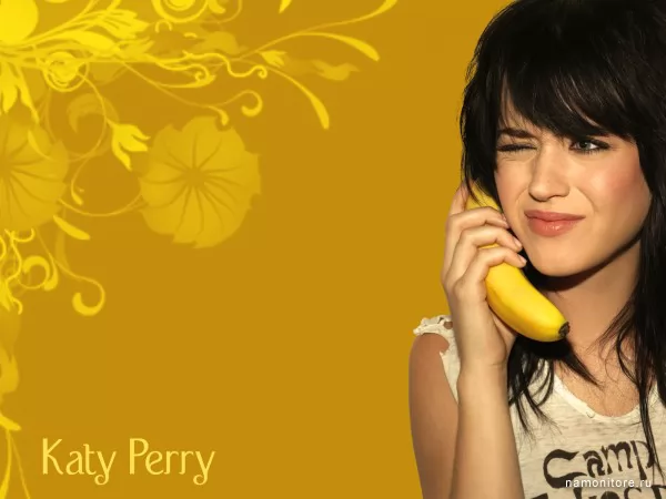 Katy Perry, Celebrities