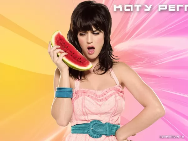 Katy Perry, Знаменитости