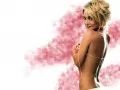 current picture: «Kelly Carlson. White-pink wall-paper»