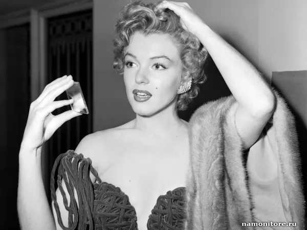 Marilyn Monroe, Celebrities
