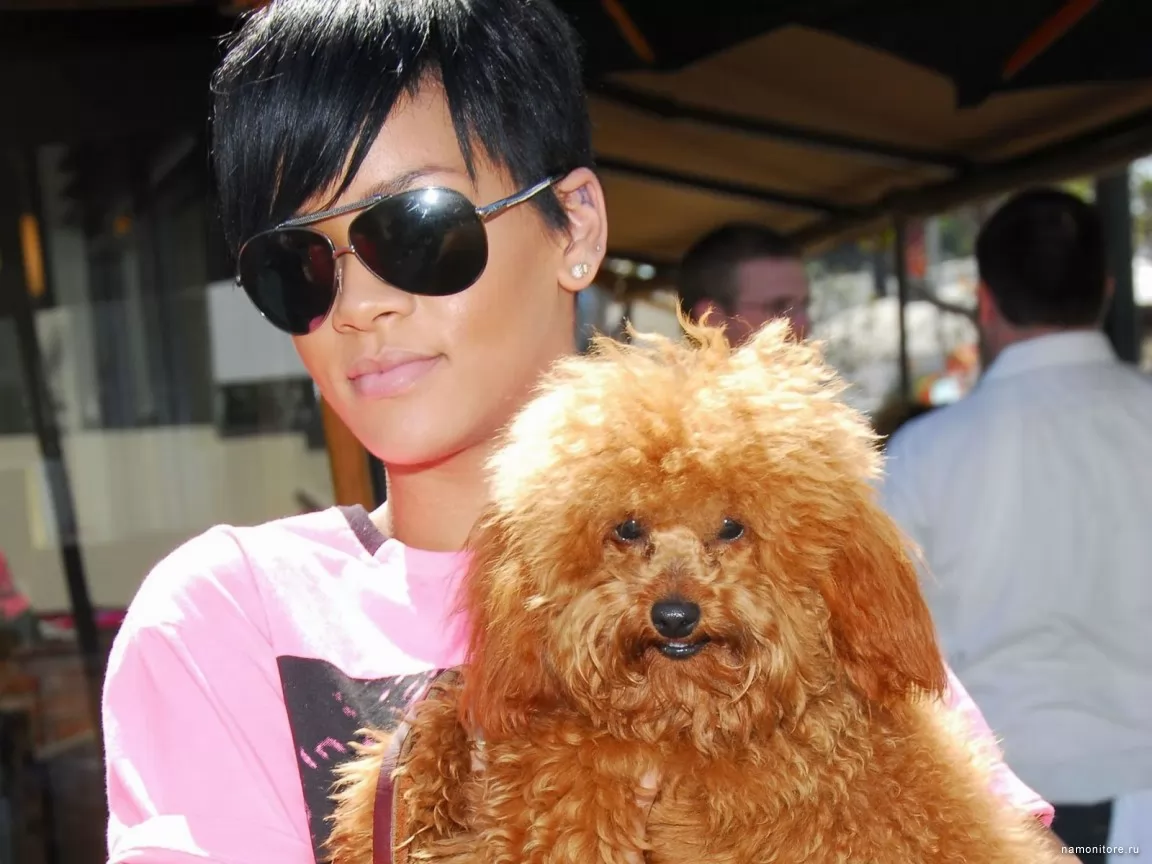 Книги о японских хинах: истории и советы от знаменитостей