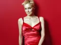 выбранное изображение: «Sharon Stone в красном платье на красном фоне»